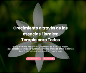 Imagen de la página flores del renacer